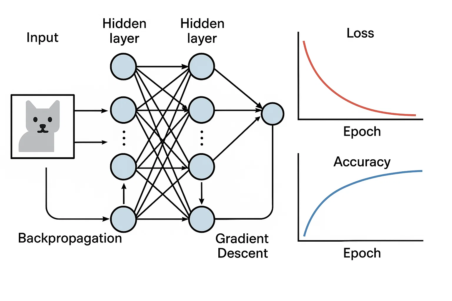 Building a Neural Network from Scratch